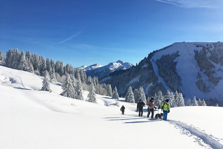 Morzine in January 2020 - What weather to expect & what to do