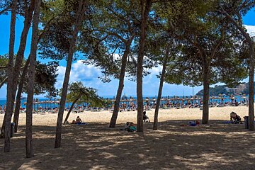 Palma Nova, Mallorca