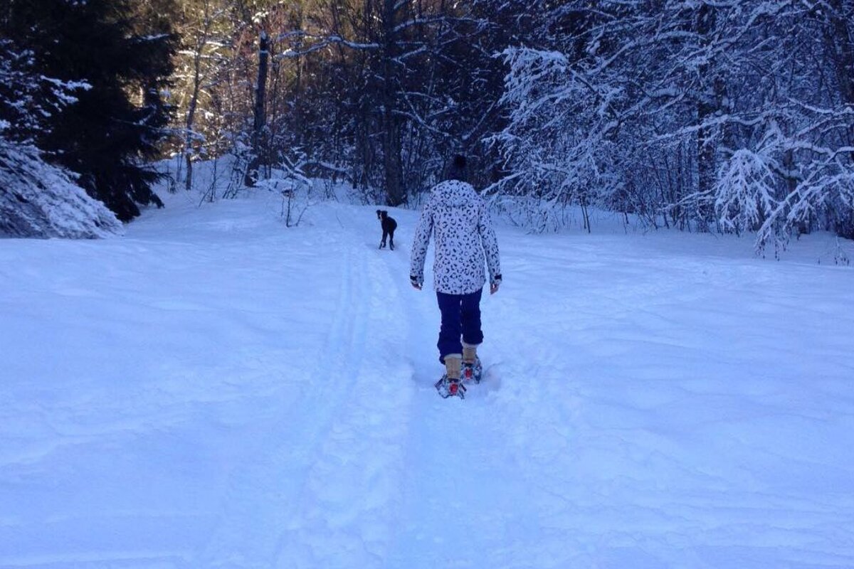 walking along a snow shoe path
