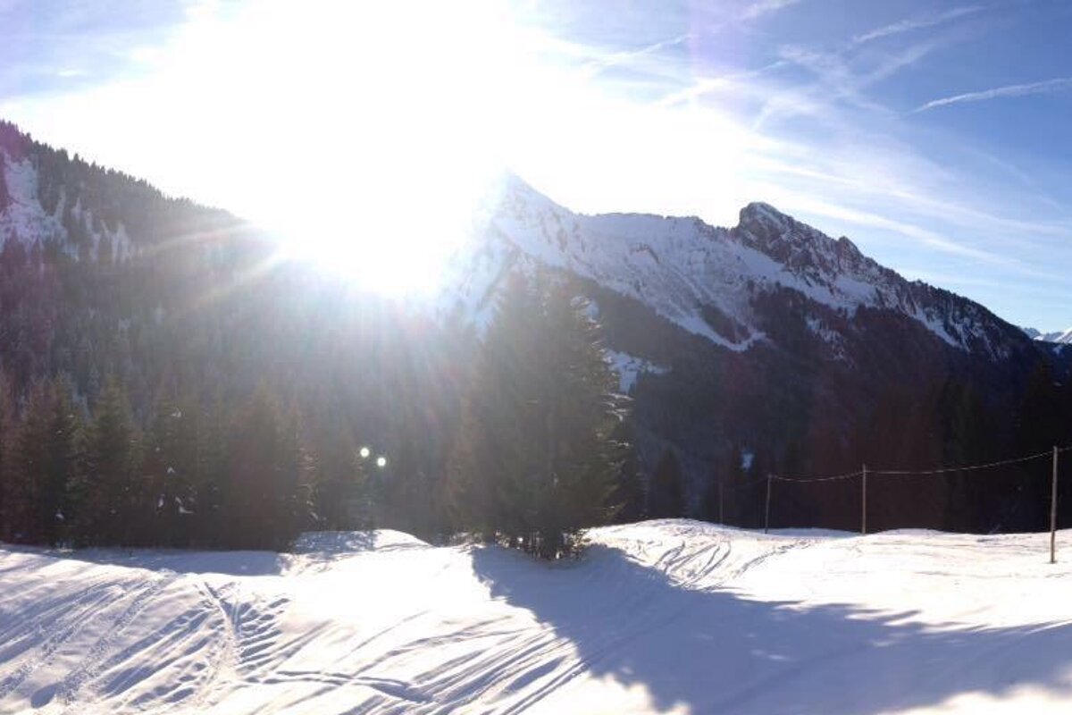 sunny views from a snow shoe track