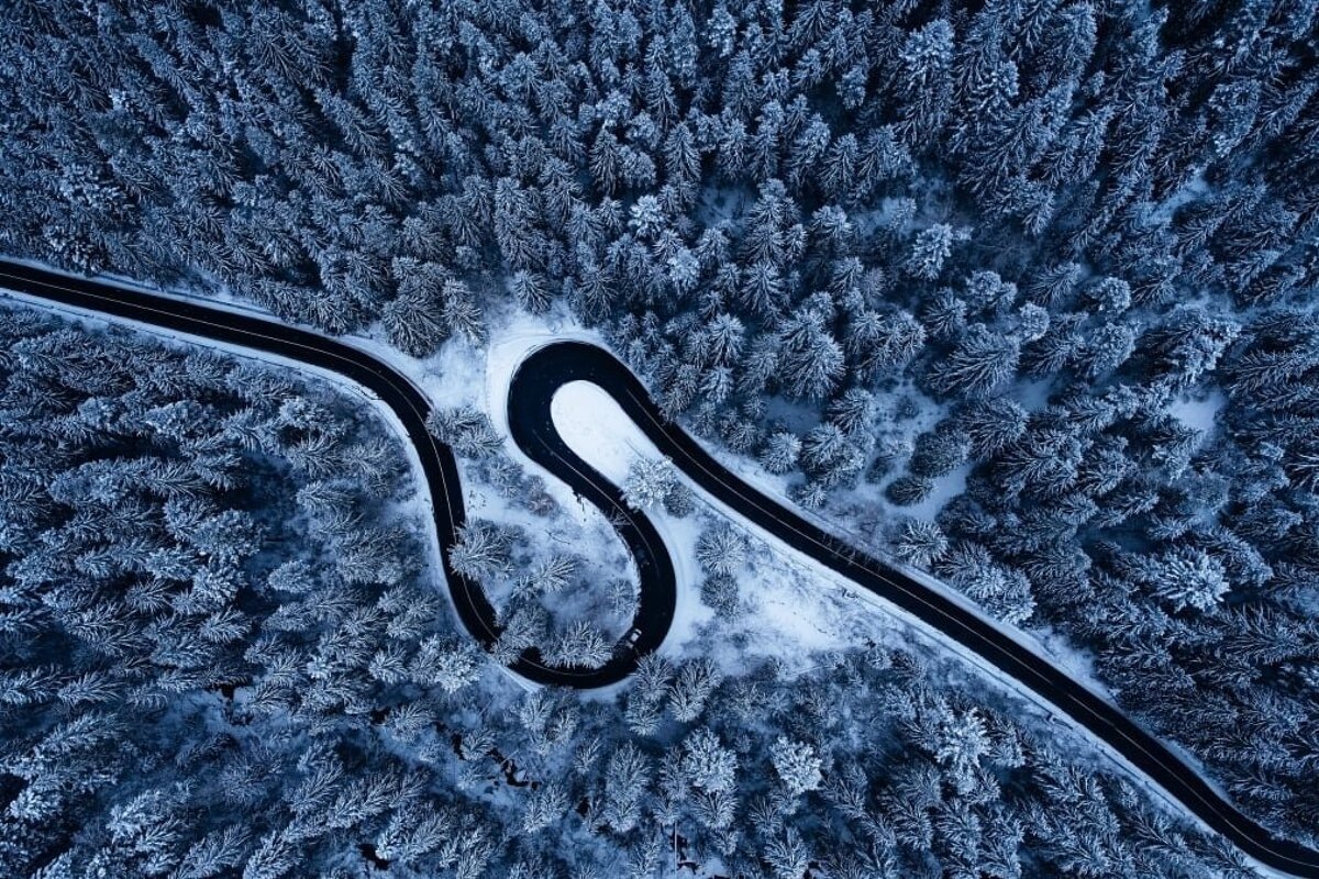 Aerial view of a winding road through a dense, snow-covered evergreen forest in winter.