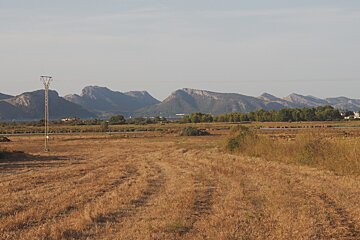 a large grassy field with mountains in the background