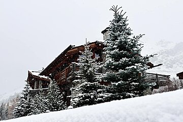 snowy chalet and trees photo taken in Val d'Isere in November 2024