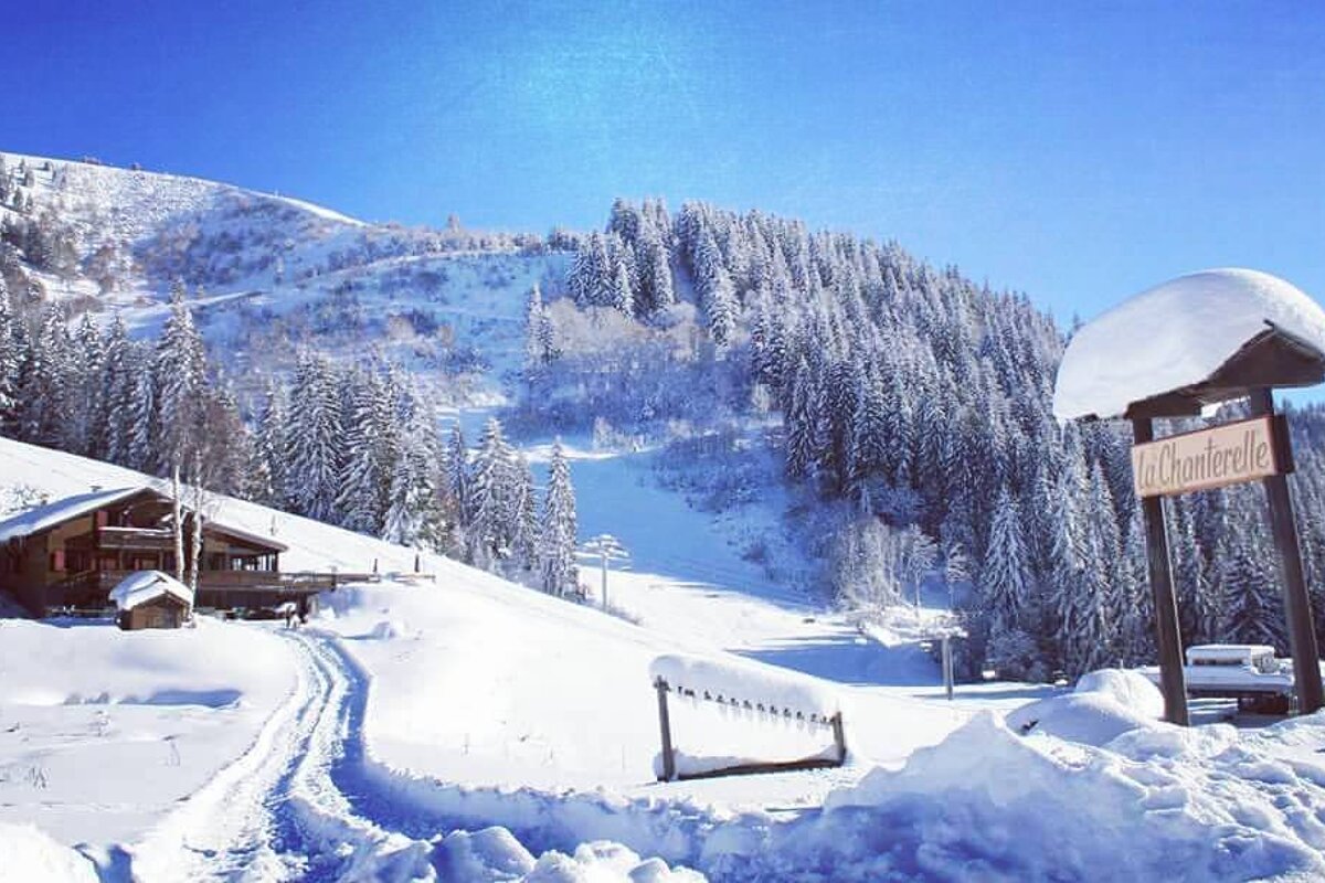 La Chanterelle Restaurant Review exterior