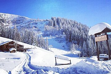 La Chanterelle Restaurant Review exterior