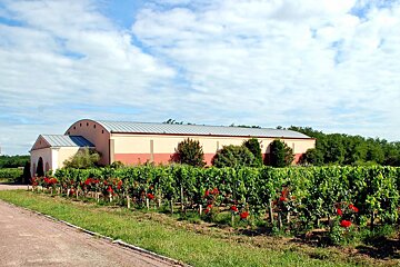 Chateau de Chantegrive, Podensac