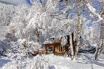 A snowy cabin in the middle of a snowy forest