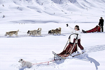 A woman is pulling a sled with dogs pulling it