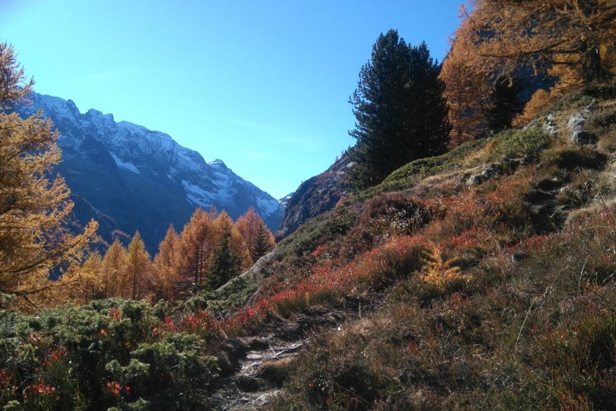 Hiking in Vallorcine near Chamonix Mont Blanc