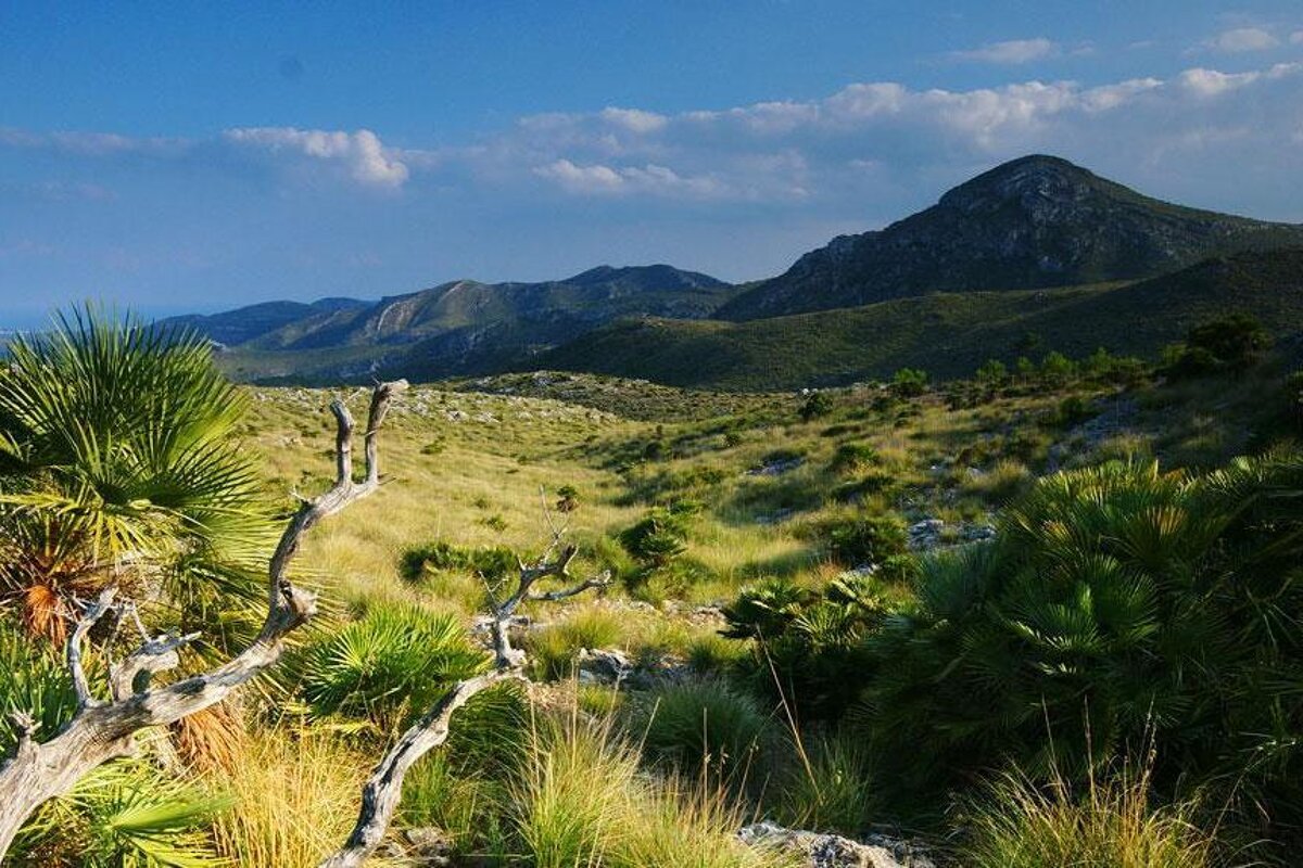 Llevant Peninsula Nature Reserve, Mallorca