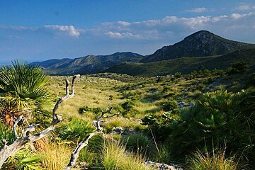 Llevant Peninsula Nature Reserve, Mallorca