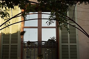 A sunlit window with closed light shutters and a balcony, framed by green vines. Reflections on the glass capture a serene outdoor view.