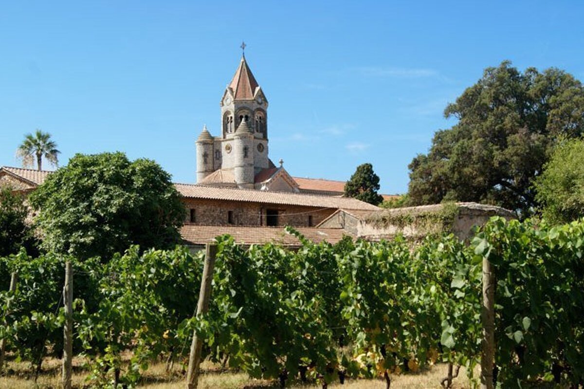 Abbaye de Lerins Vineyard, Ile Saint-Honorat
