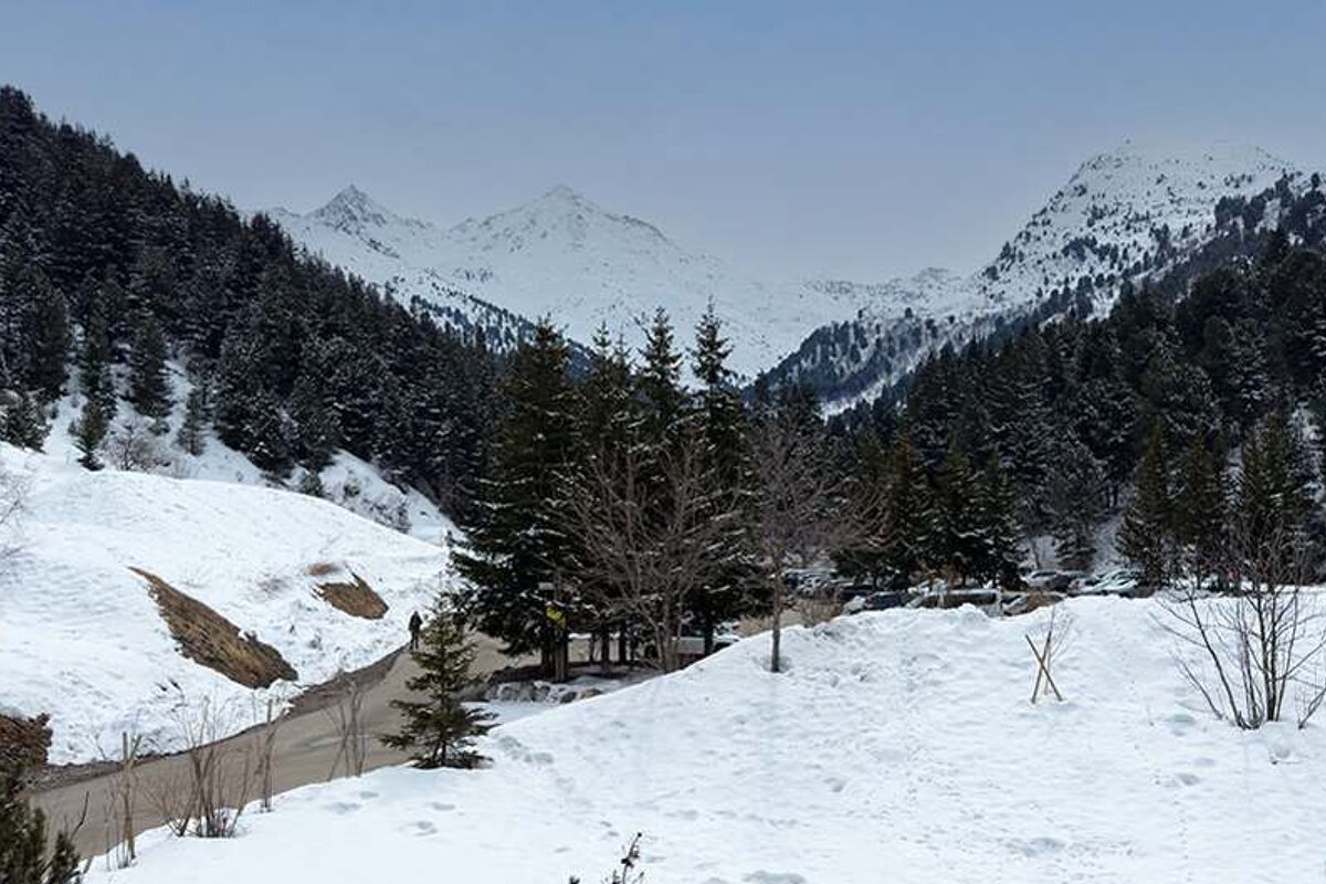 A snowy landscape with trees and mountains in the background