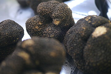 photo of black truffles
