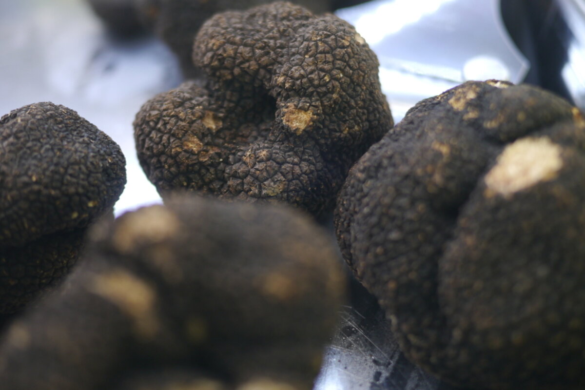 photo of black truffles