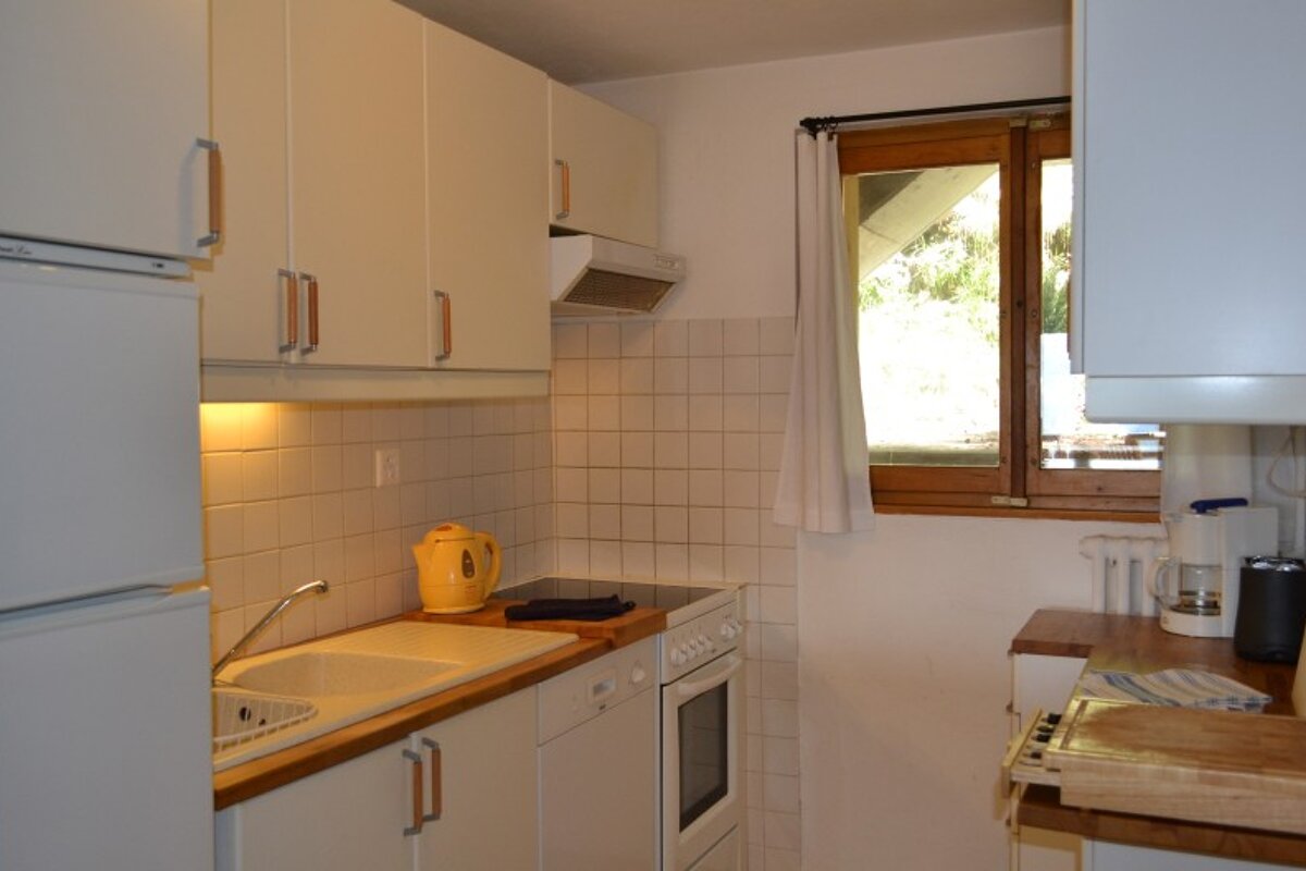 Valhalla Oden Apartment, Verbier kitchen