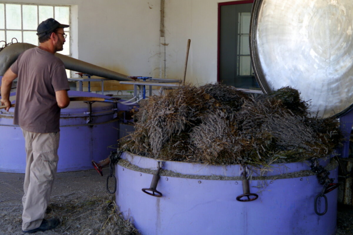 Lavender Distillery 