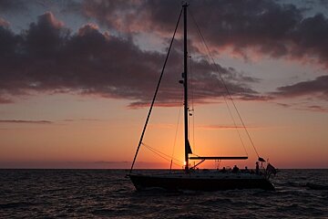 5 best yacht charters in Mallorca