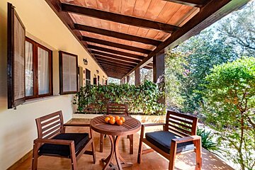 A charming covered patio with a wooden table, chairs, oranges, and windows with shutters, overlooking a lush green garden.