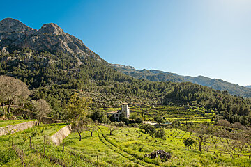 Mallorca, top island in the world