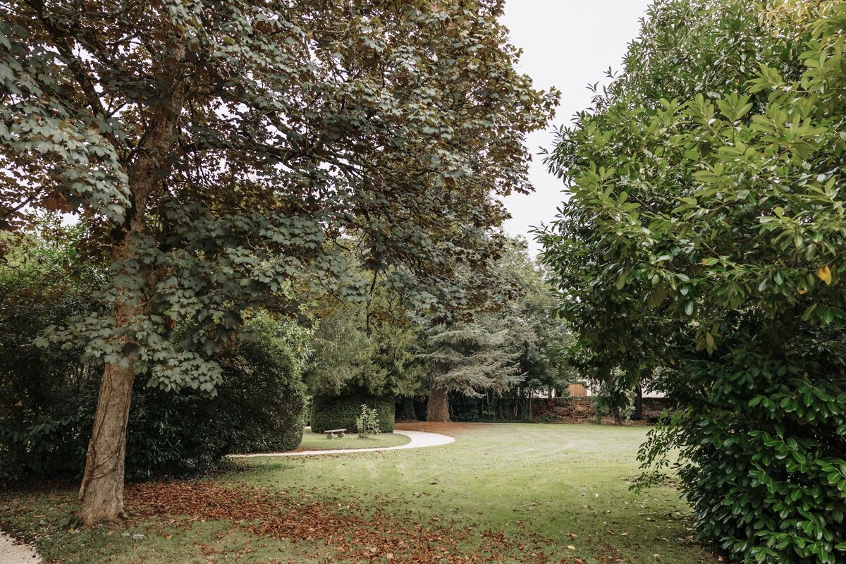A path in a park with trees and bushes