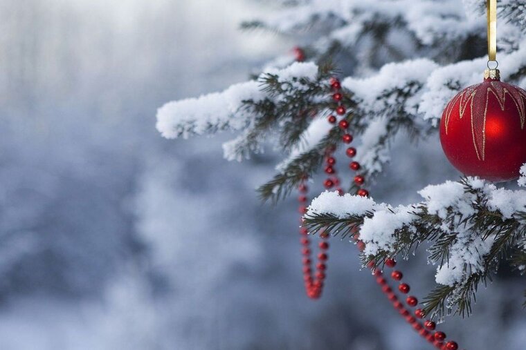 A christmas tree with bauble in the forest with snow