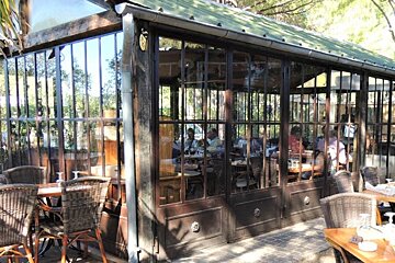 La Pomme de Pin Restaurant, Ramatuelle restaurant