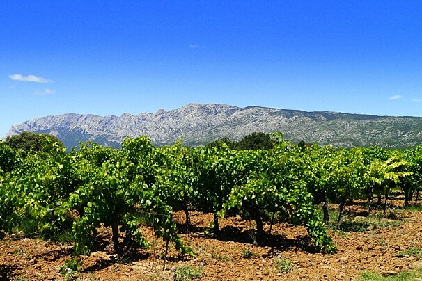 Mont Sainte-Victoire Vinyards