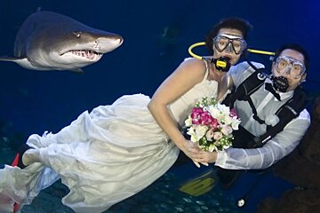 A wedding event