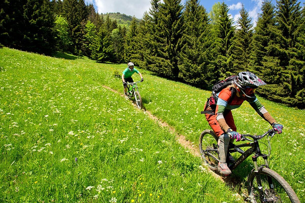 a picture of 2 mountain bikers in a field