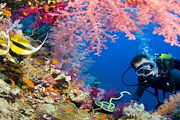 Eau Bleue Diving Centre, Cavalaire