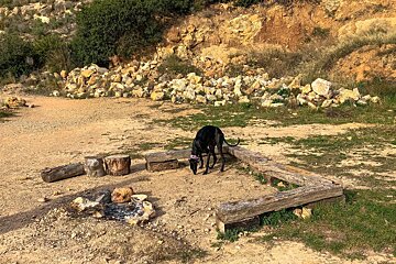Exploring the atmospheric ruins around Sant Elm