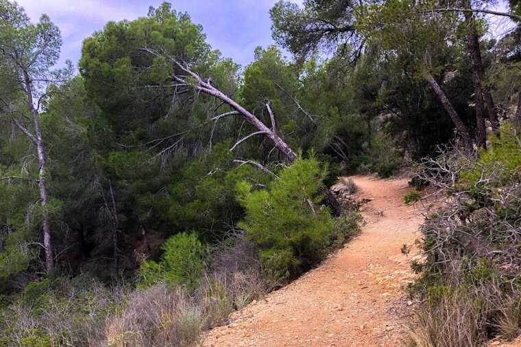 Exploring the atmospheric ruins around Sant Elm