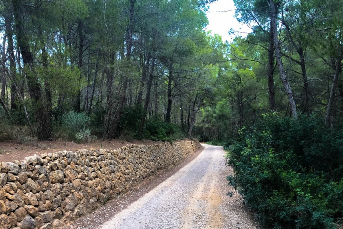 Exploring the atmospheric ruins around Sant Elm
