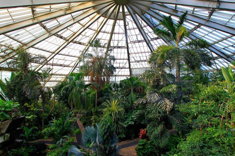 What to do in Nice when it rains 2018