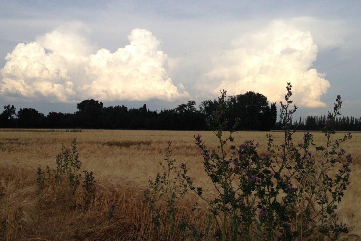 clouds over a field near avignon