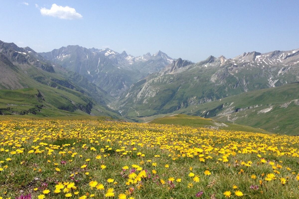 Classic Tour du Mont Blanc Trekking Holiday, from Chamonix