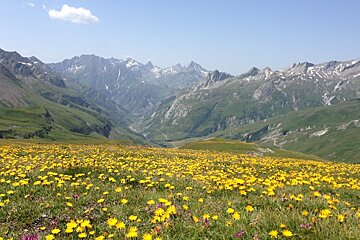 Classic Tour du Mont Blanc Trekking Holiday, from Chamonix