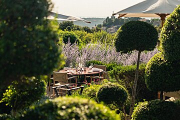 A table and chairs in a garden with purple flowers and umbrellas