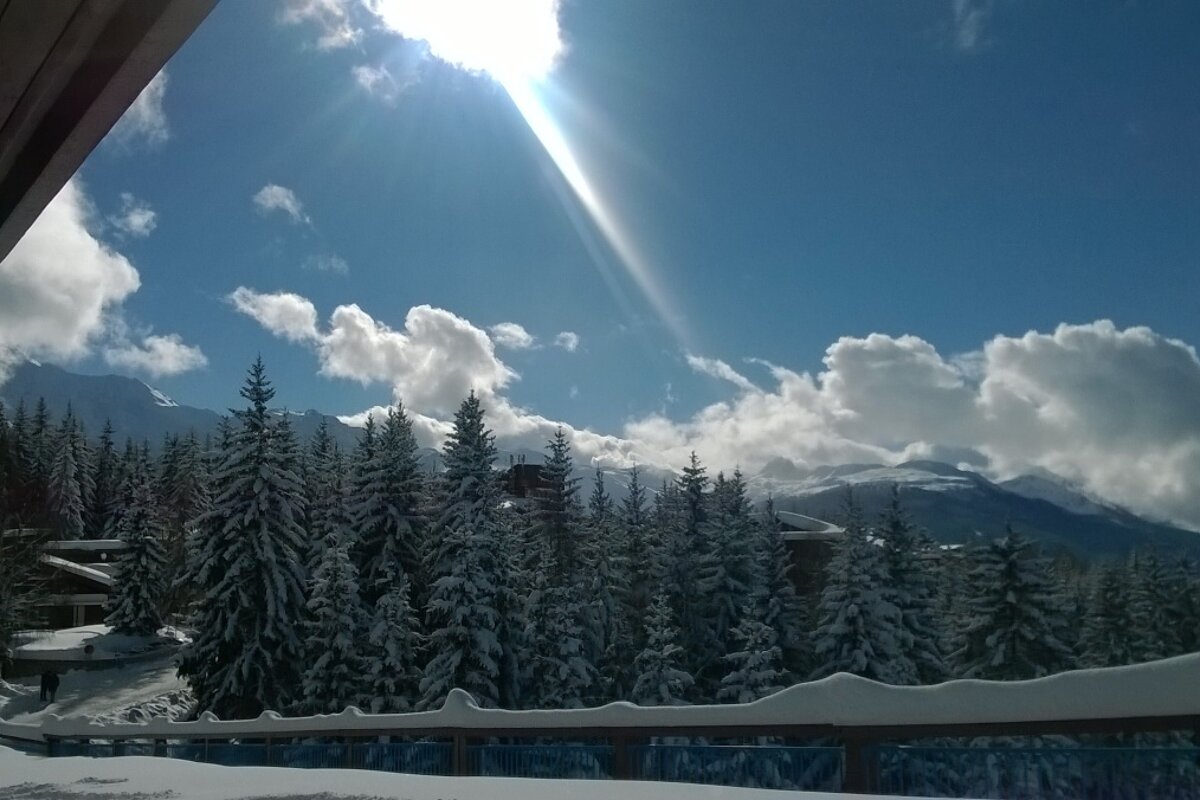 Blue sky, sun, clouds, snow covered trees and a snow covered railing