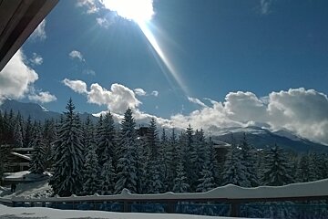 Blue sky, sun, clouds, snow covered trees and a snow covered railing