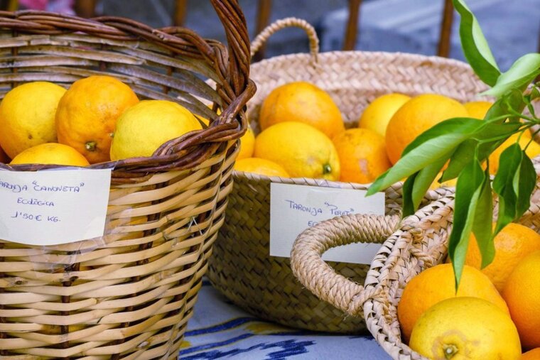 Mallorcan Oranges & Lemons 