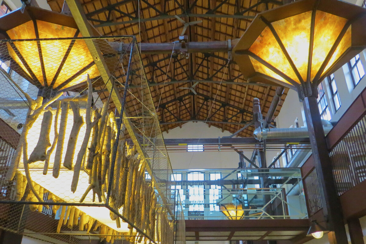 interior of the market in Palma - Mercado Gastronomico San Juan