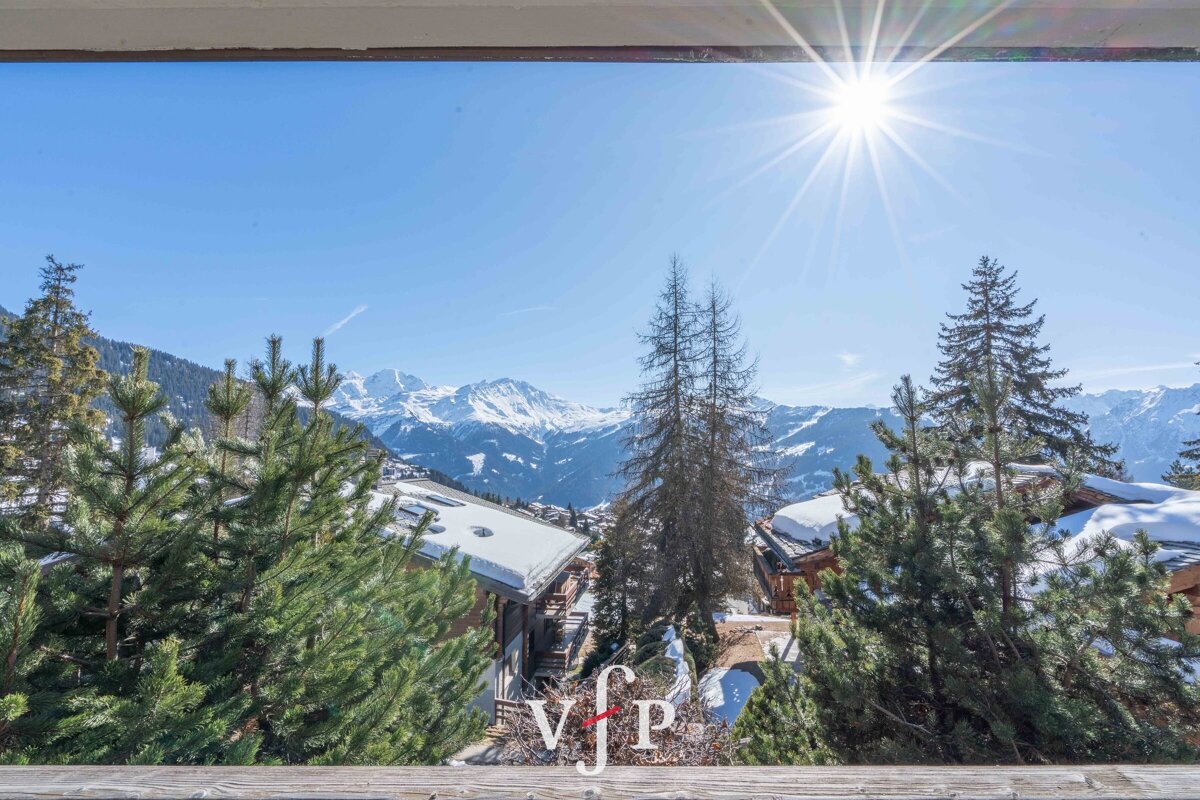 A view of snowy mountains from a balcony that says vip