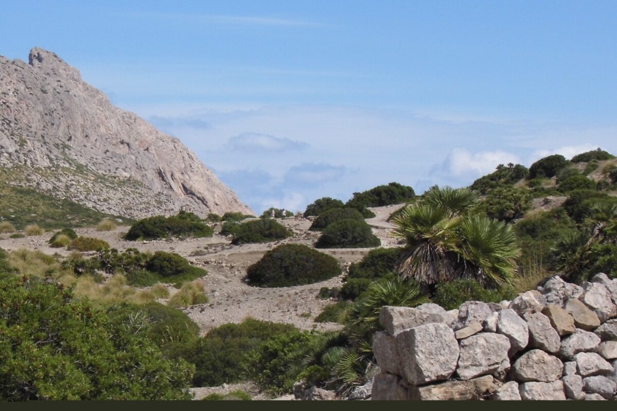 image of rocky countryside