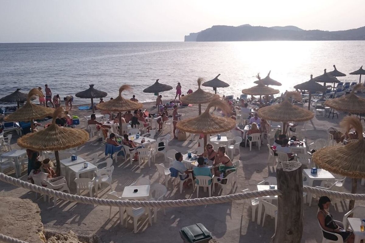 image of a beach and parasols