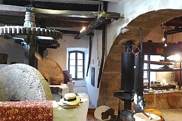 Provençal Tasting Tour, from