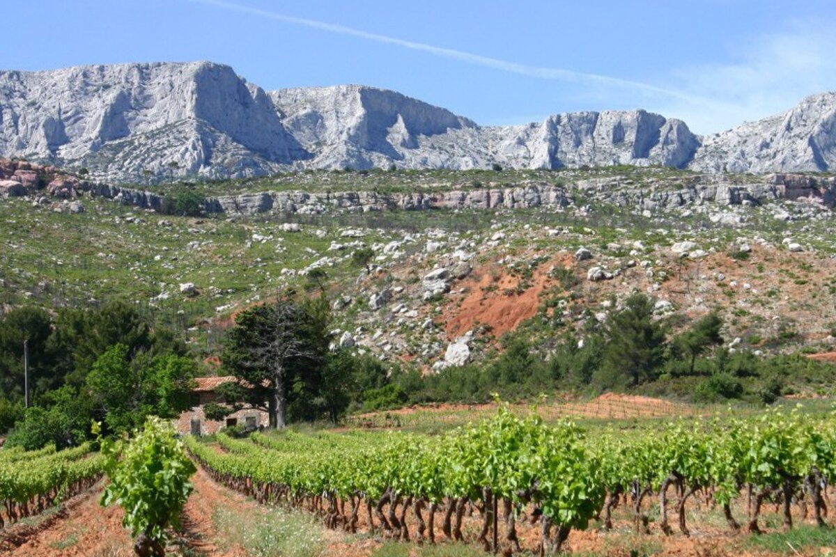 Domaine Terre de Mistral Vineyard, Sainte Victoire
