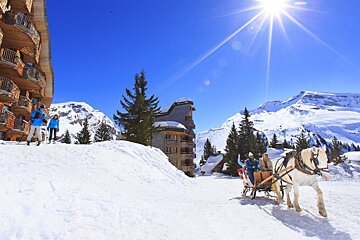 horses pulling sledges for tourists